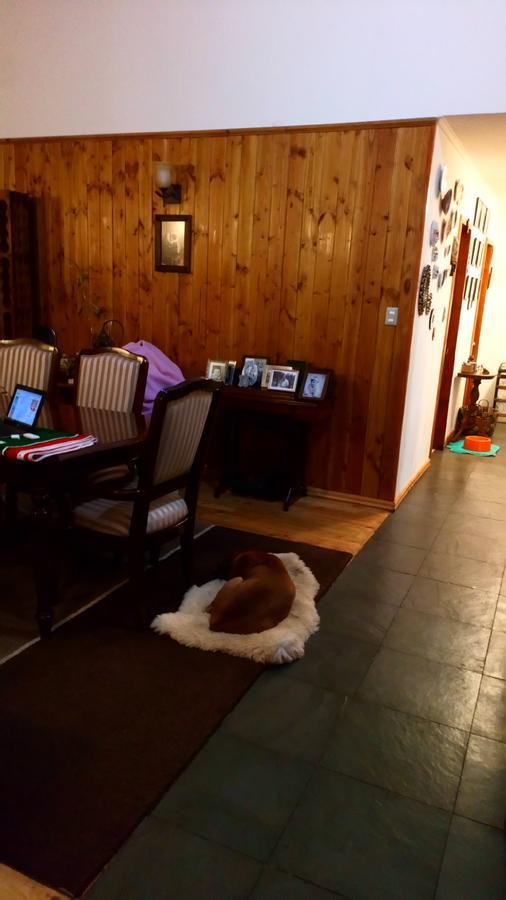 Hostal Parcela 47 Villarrica Eksteriør bilde